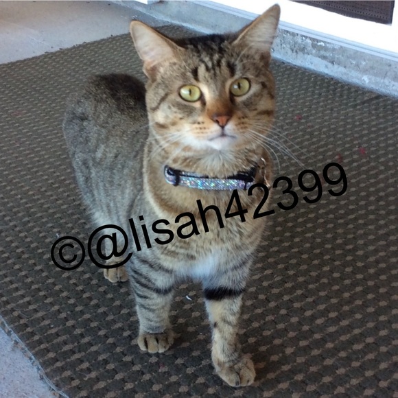 Meet your Posher, Lisa - Picture 6 of 11